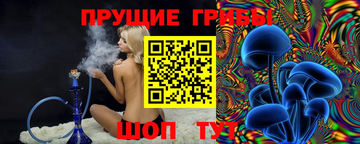 Галлюциногенные грибы прущие грибы Чернушка